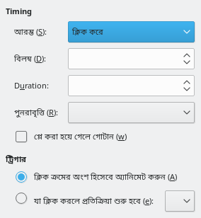Custom Animation Timing Dialog
