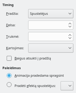 Animacijos laiko parinkčių lango nuotrauka