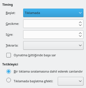 Custom Animation Timing Dialog