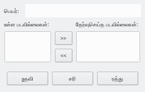 Define Custom Slide Show Dialog