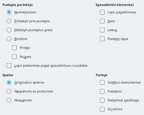Pateikčių rengyklės spausdinimo parinkčių lango nuotrauka
