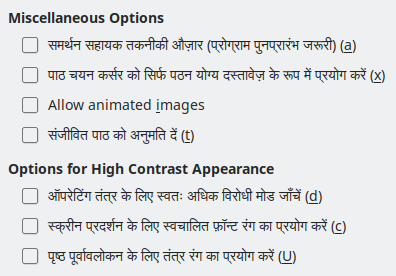 Options Accessibility Dialog Image