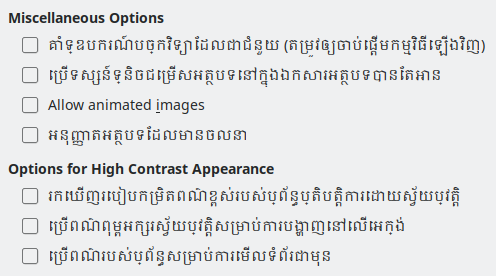 Options Accessibility Dialog Image