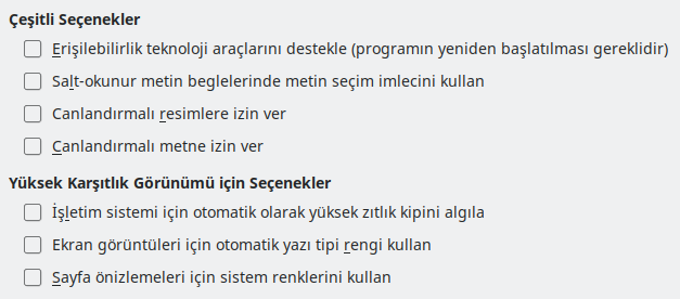 Seçenekler Erişilebilirlik Penceresi Resmi