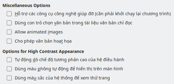 Options Accessibility Dialog Image