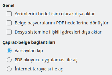 PDF Dışa Aktarma Bağlantı Seçenekleri Penceresi Görüntüsü