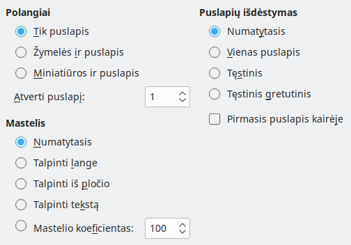 PDF eksporto pradinio rodymo parinkčių lango nuotrauka
