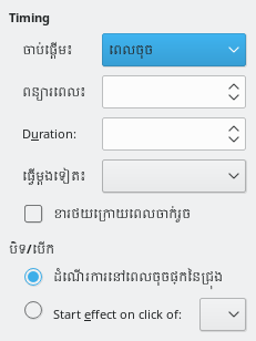 Custom Animation Timing Dialog
