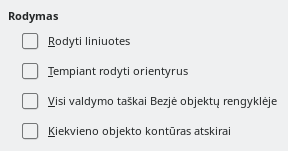 Pateikčių rengyklės rodymo parinkčių lango nuotrauka