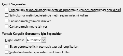 Seçenekler Erişilebilirlik Penceresi Resmi