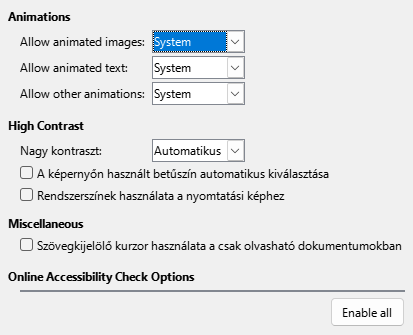 Options Accessibility Dialog Image