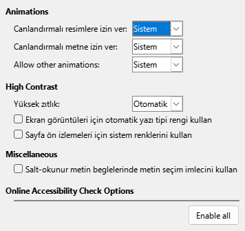 Seçenekler Erişilebilirlik Penceresi Resmi