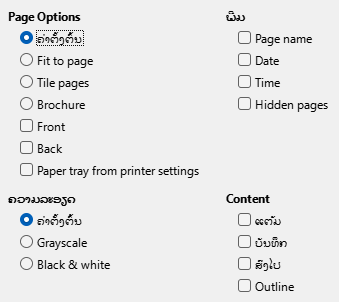 Impress Print Options Dialog