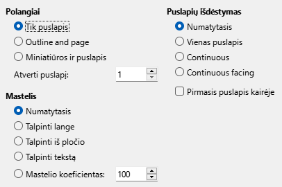 PDF eksporto pradinio rodymo parinkčių lango nuotrauka