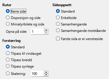 Dialogvindauget for innstillingar for vising i PDF-eksport.