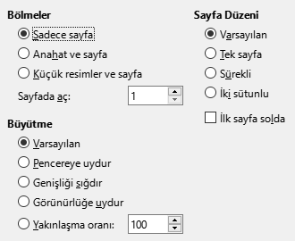 PDF Dışa Aktarma Görüntüleme Seçenekleri Penceresi Görüntüsü