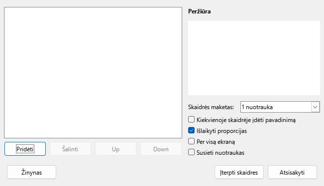 Pateikčių rengyklės nuotraukų albumo parinkčių lango nuotrauka