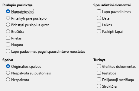 Pateikčių rengyklės spausdinimo parinkčių lango nuotrauka